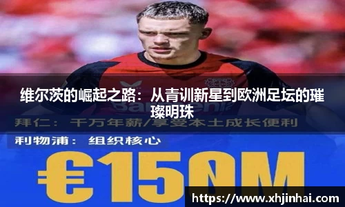 星空·综合体育中国官网